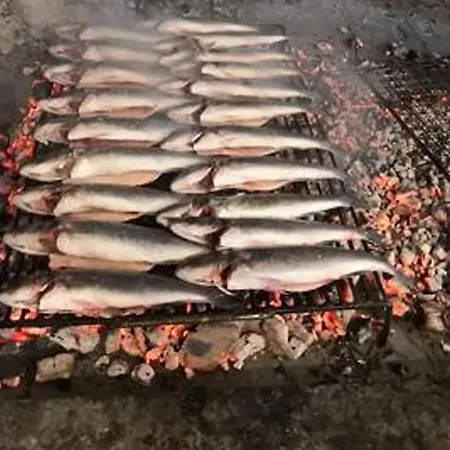 Balic דירה